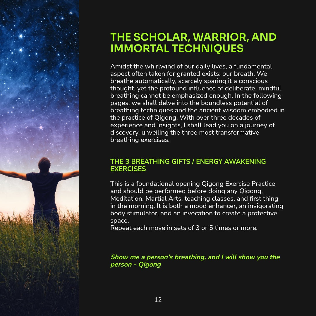 The 12 Pillars of Wellbeing - Habits for Radiant Health and Happiness by Sifu JC