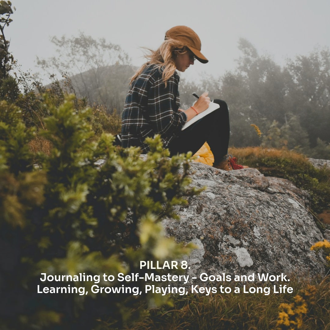 The 12 Pillars of Wellbeing - Habits for Radiant Health and Happiness by Sifu JC
