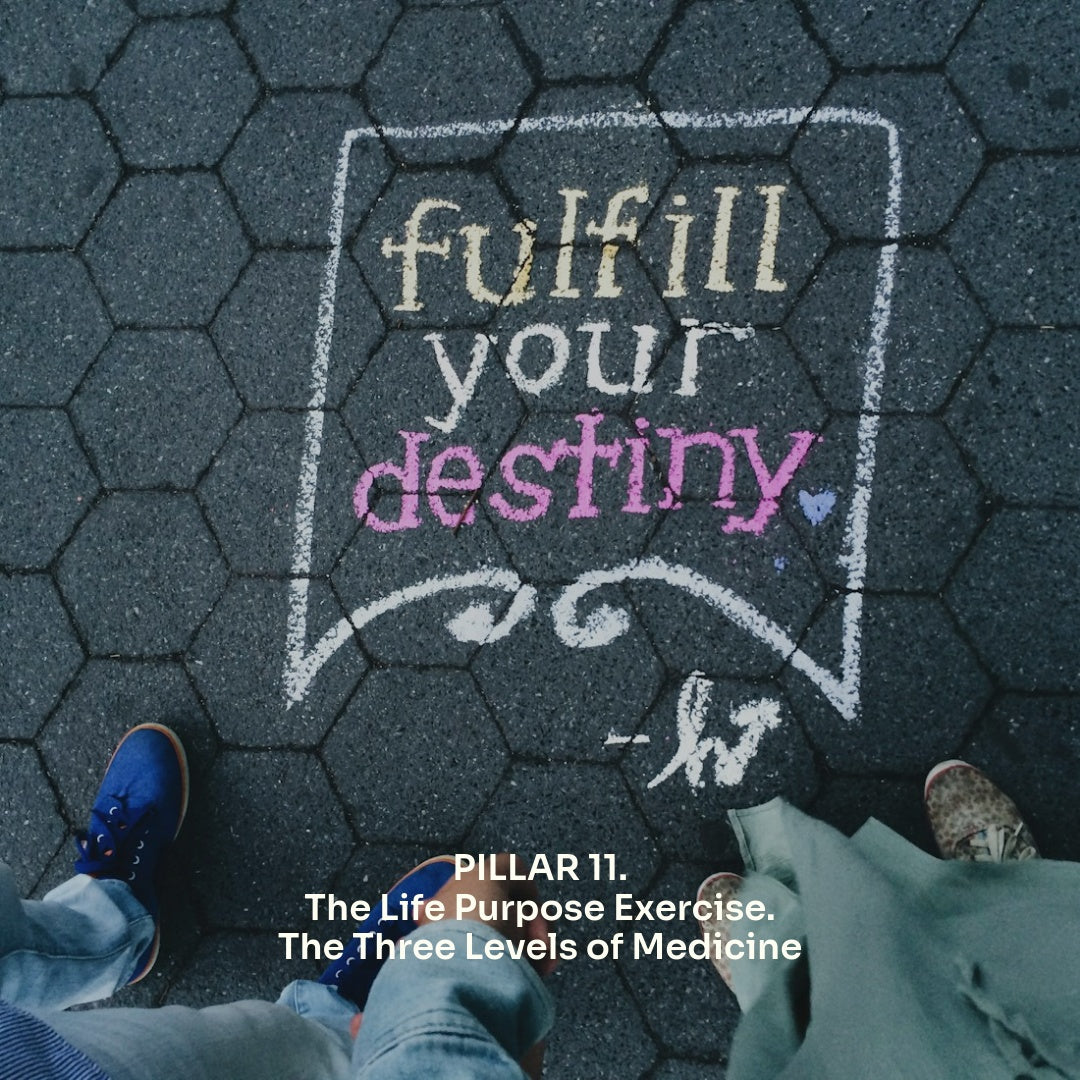The 12 Pillars of Wellbeing - Habits for Radiant Health and Happiness by Sifu JC