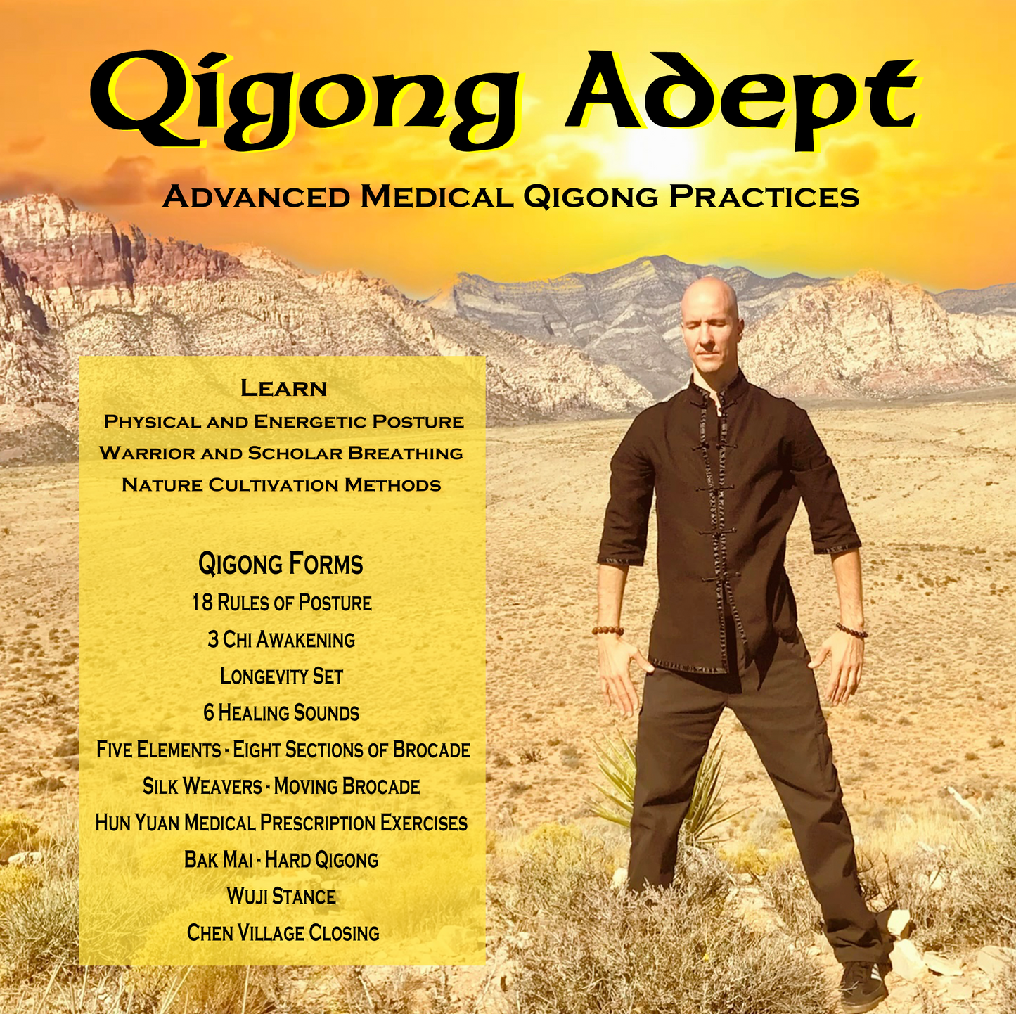 Qigong Adept Level 2 - (12 Weeks) - Live Online or In Person Weekly Training