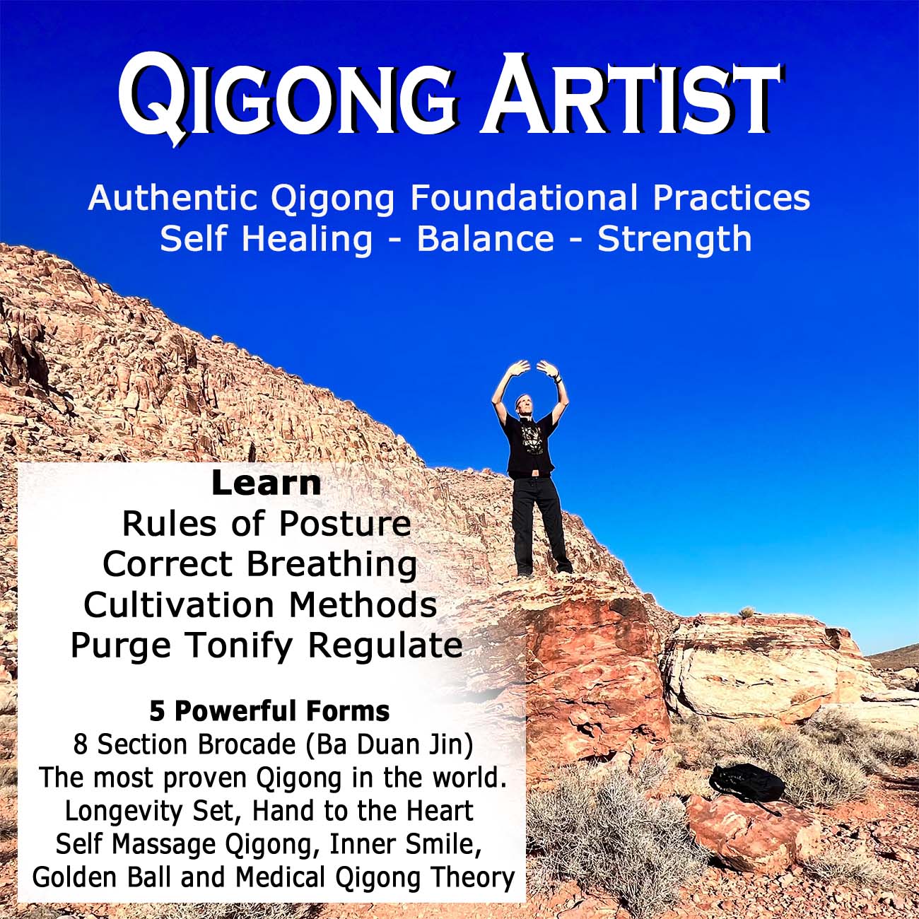 Qigong Artist – Longevity and Beauty Methods
