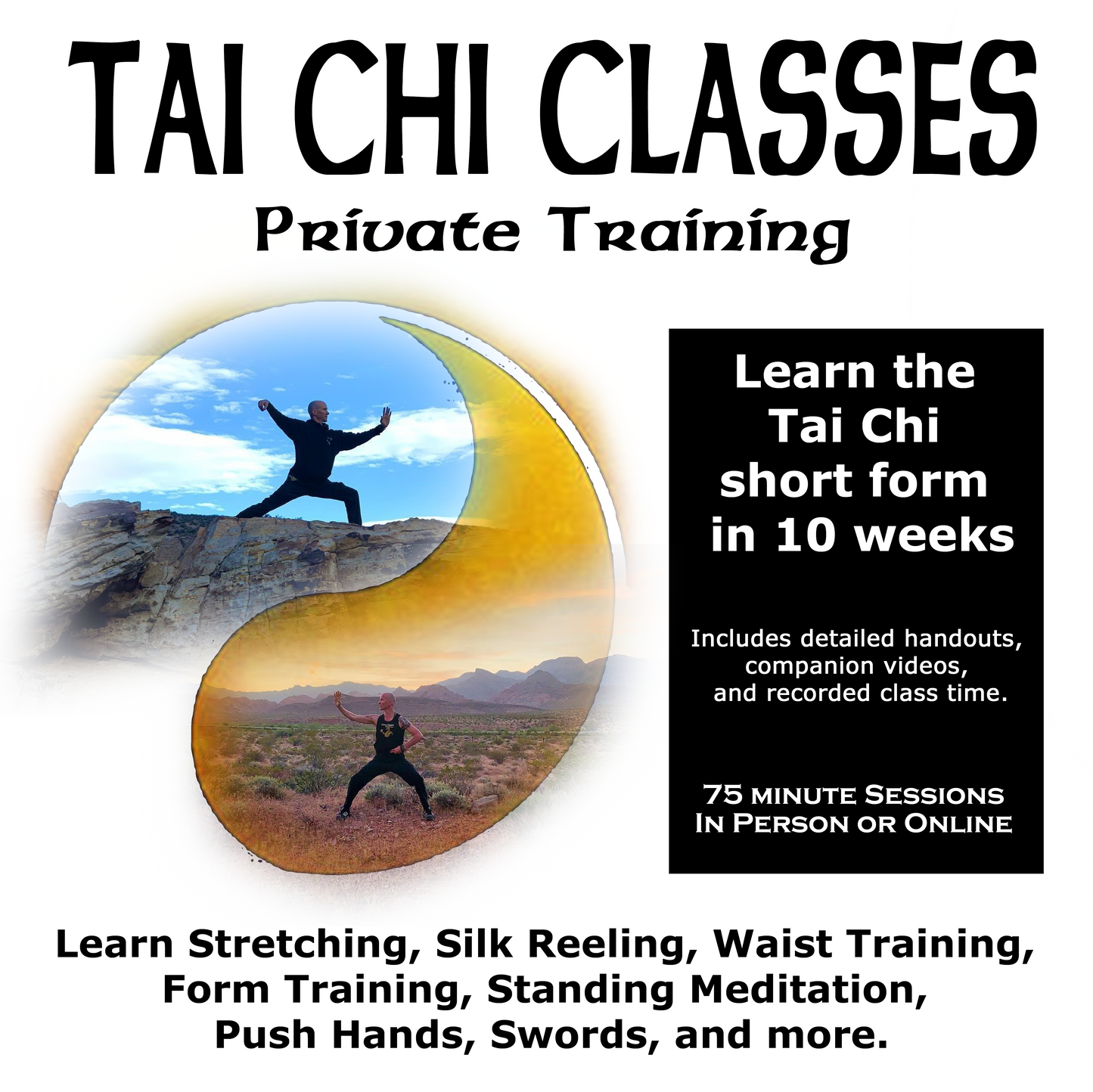 Tai Chi Private Training with Sifu JC - 11 Weeks In Person or Online