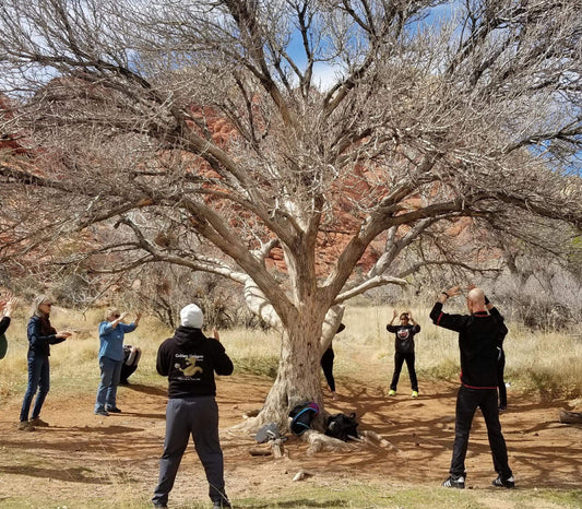 Qigong Workshop with Sifu JC