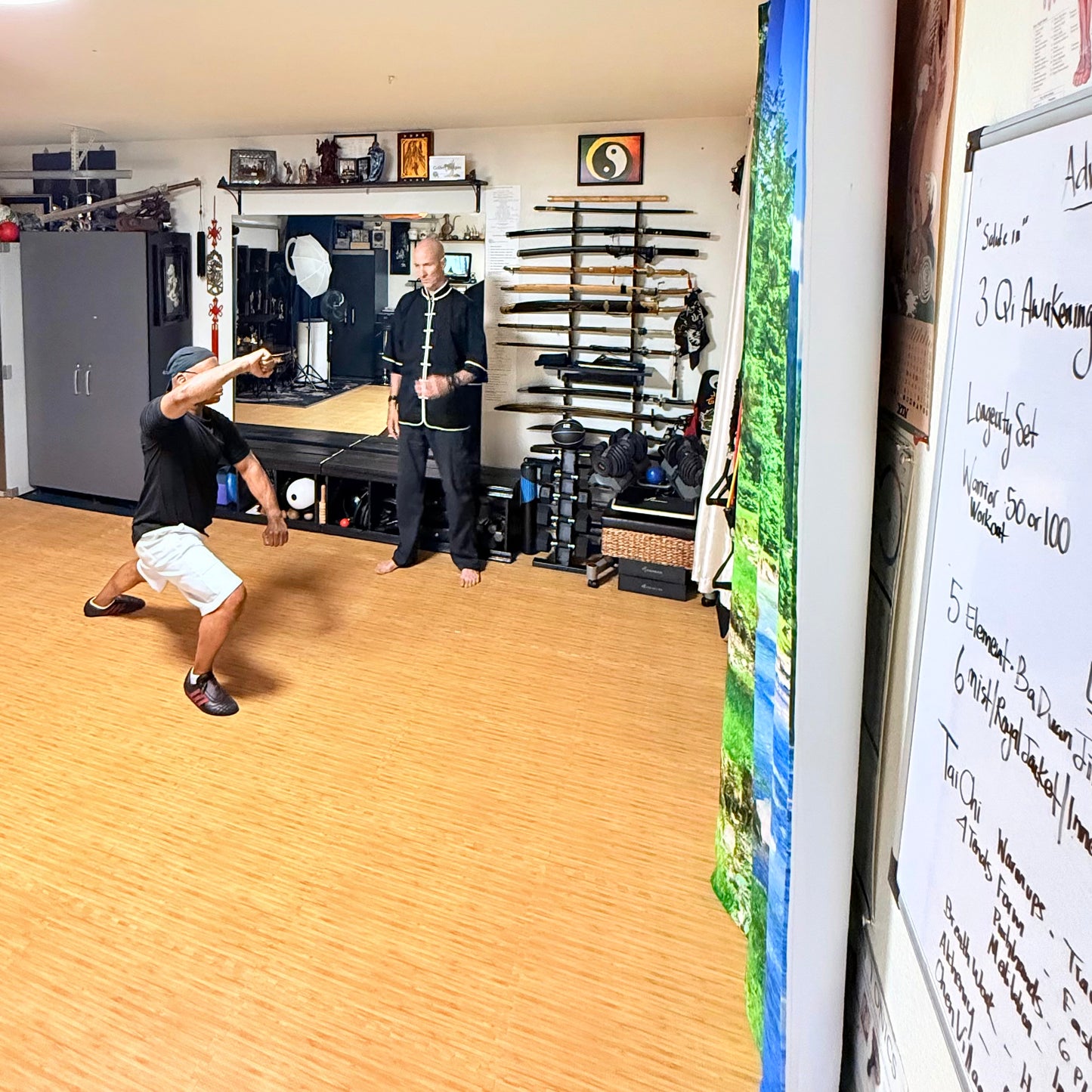 Private Qigong or Tai Chi Class with Sifu JC