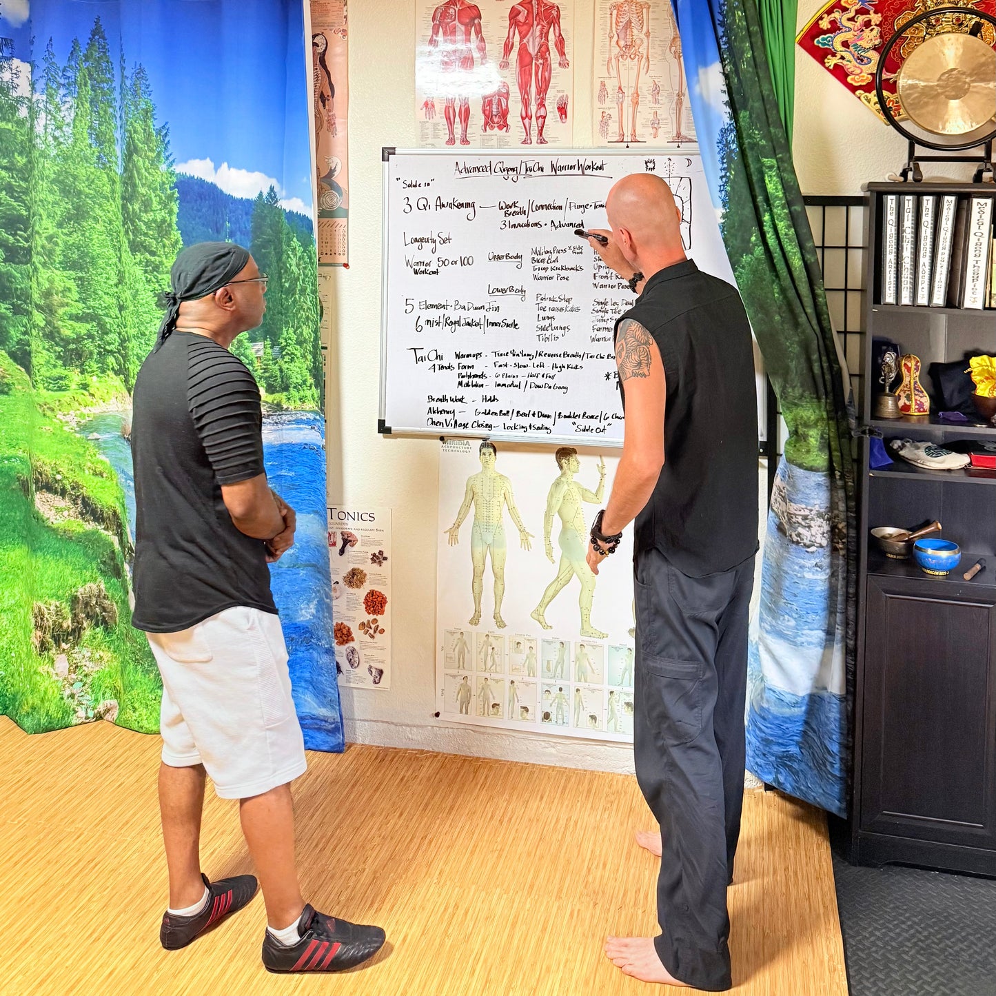Private Qigong or Tai Chi Class with Sifu JC