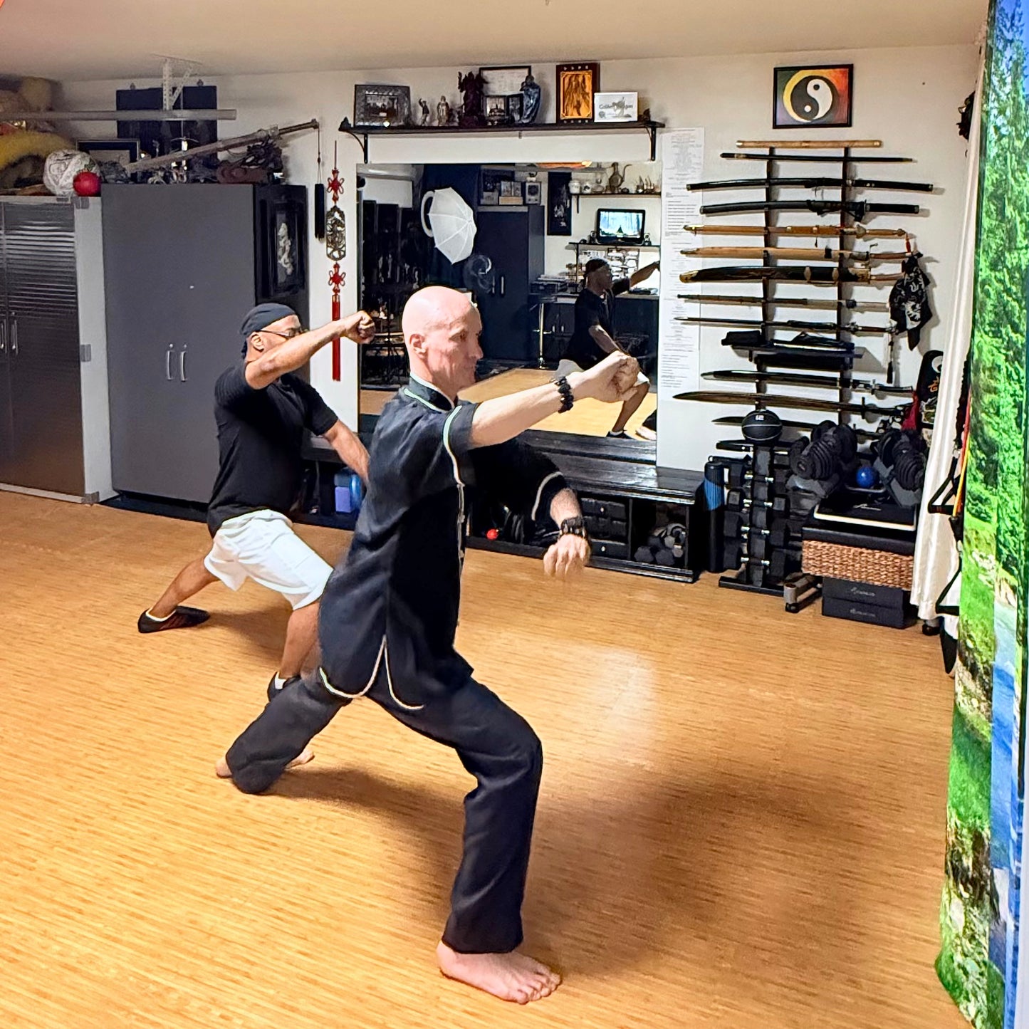 Private Qigong or Tai Chi Class with Sifu JC